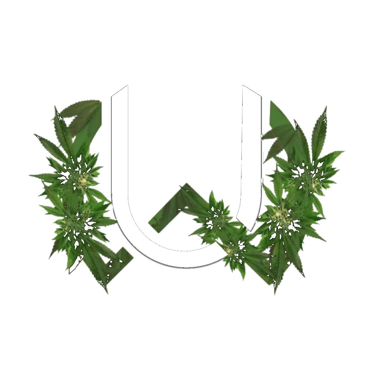 Uber-Weedz