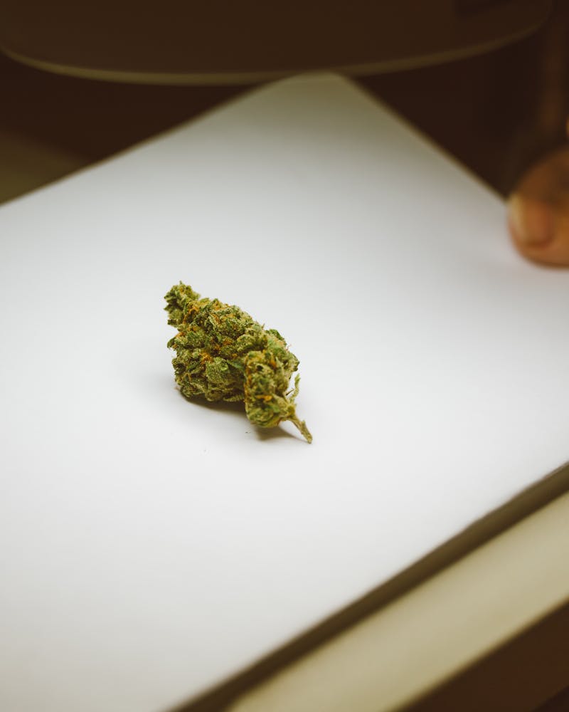 Sour Diesel